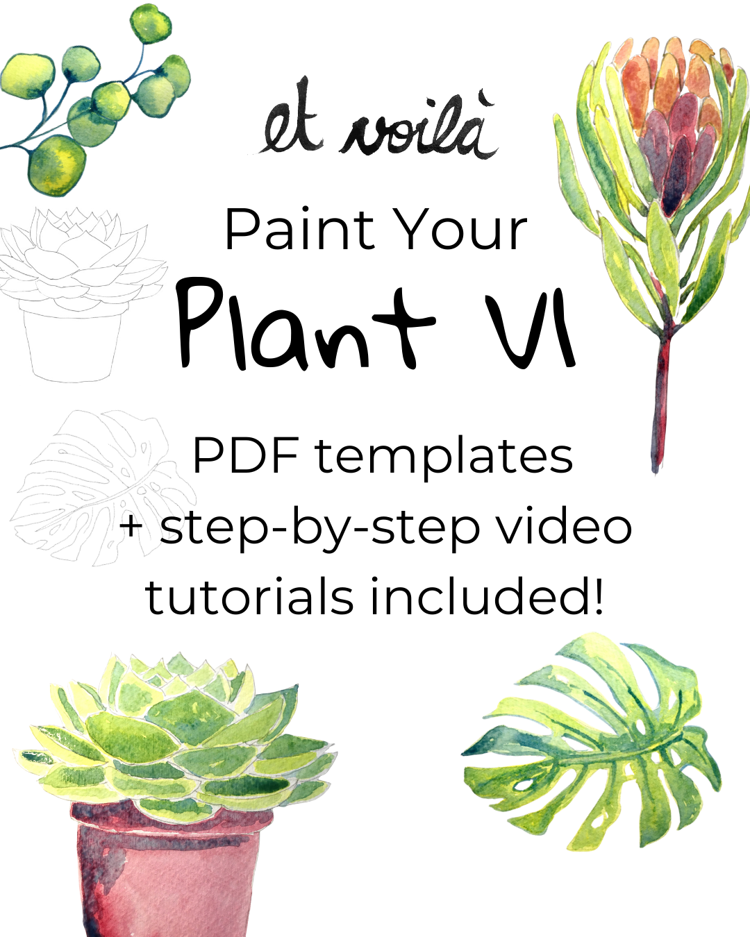 Plant V1 – Et Voilà Watercolours Templates + Tutorials