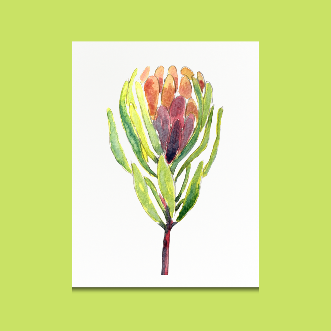 Plant - Et Voilà Watercolours Kit