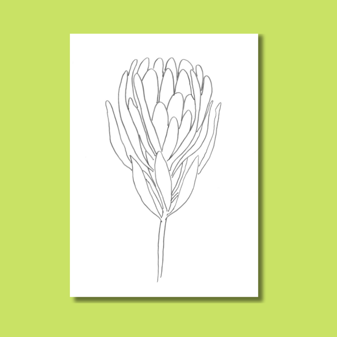 Plant - Et Voilà Watercolours Kit
