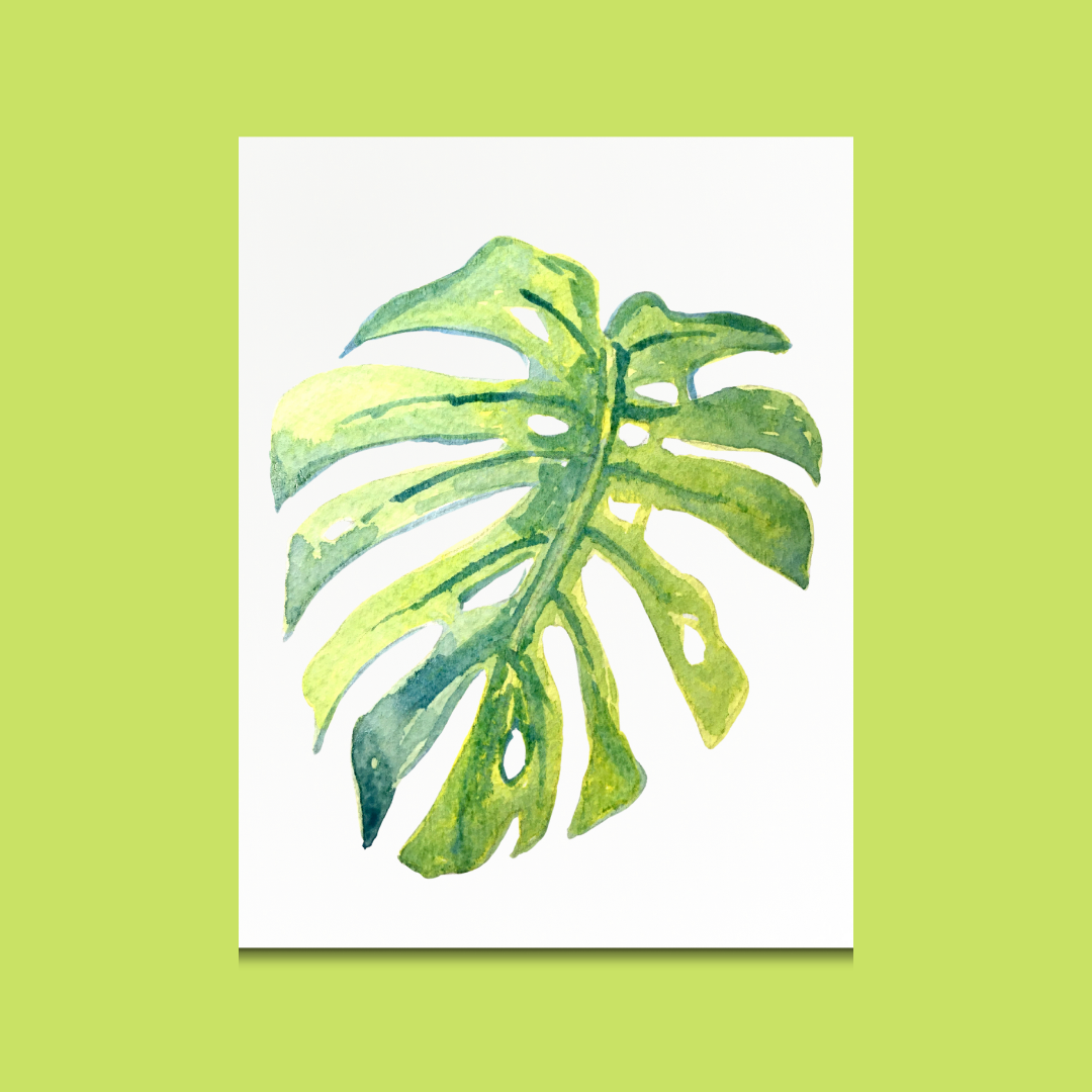 Plant - Et Voilà Watercolours Kit