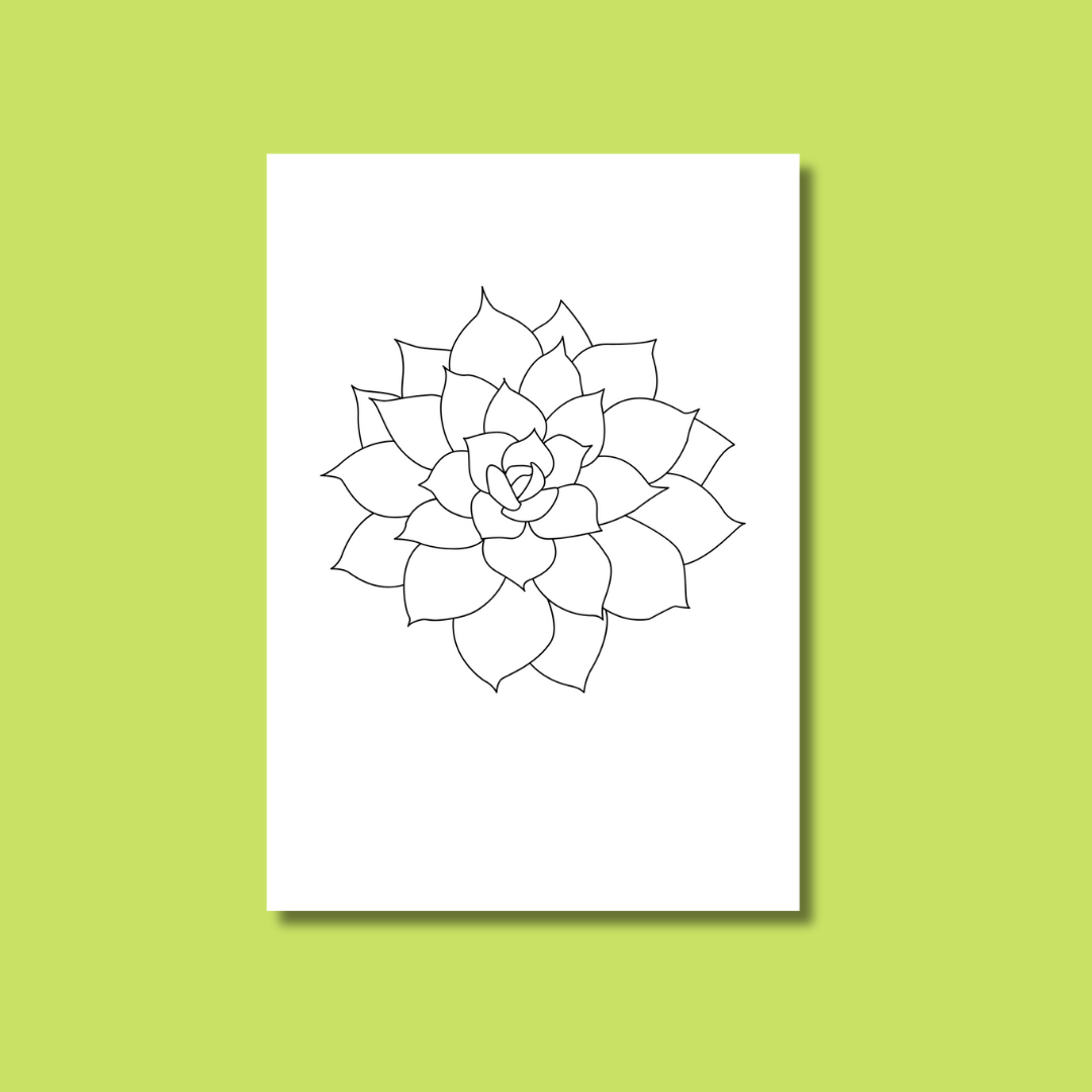 Plant V2 - Et Voilà Watercolours Kit