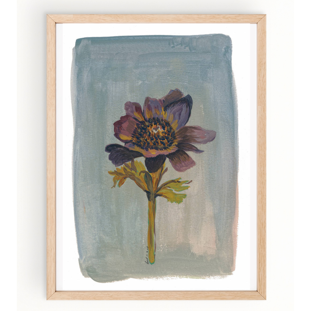 Still Life - Windflower