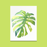 🌱 Little Leaf Club