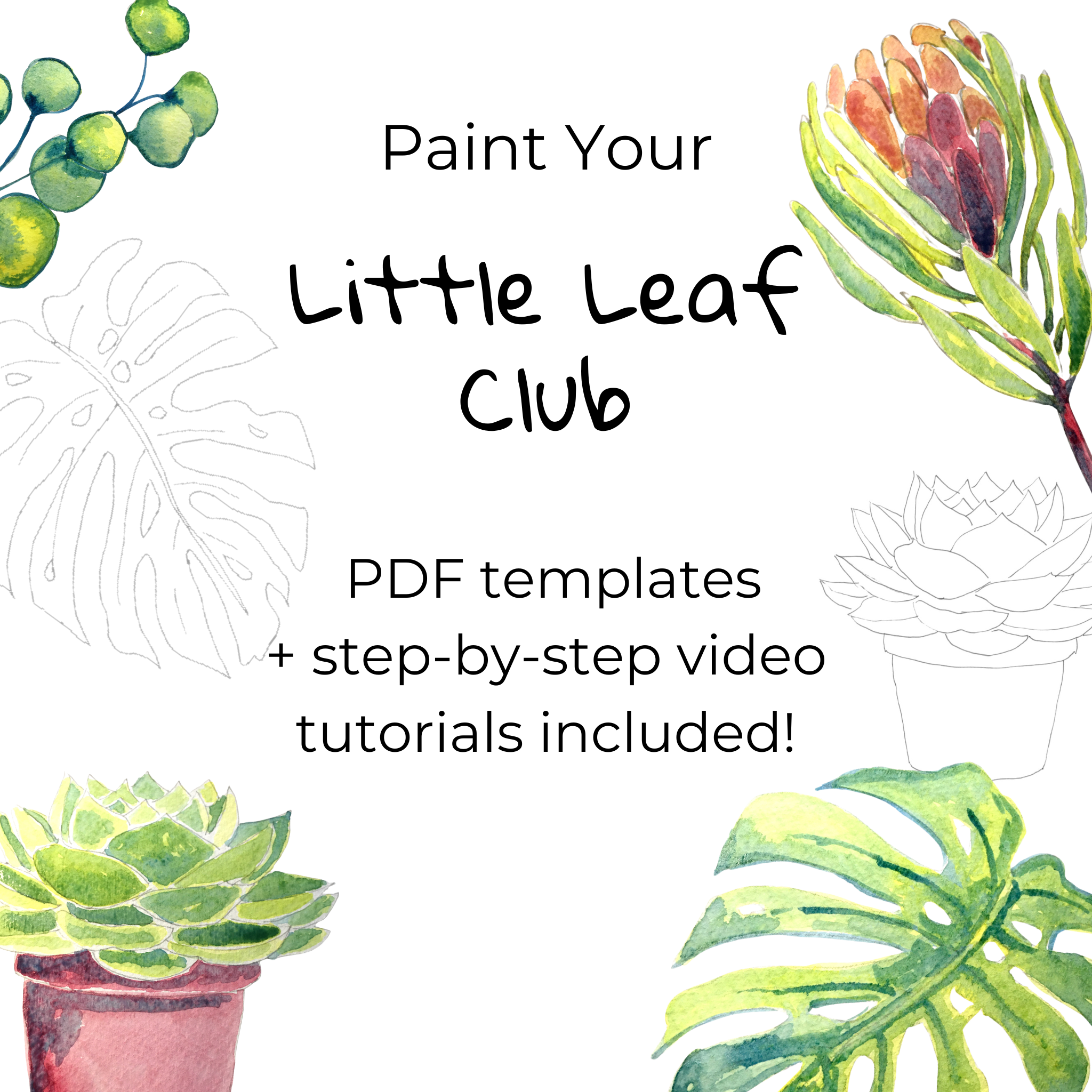 Little Leaf Club botanical watercolour kit templates for kids and beginners in Australia