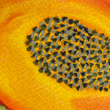 PawPaw Study