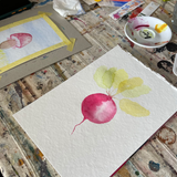 Introduction to Watercolour - 5 hours