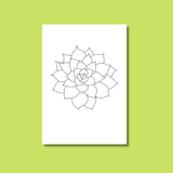 Learn how to paint a succulent with the pre sketched template from Et Voilà  Studios