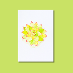 Paint a succulent with the pre sketched template from Et Voilà  Studios