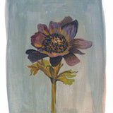 Still Life - Windflower