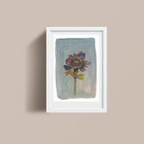 Still Life - Windflower