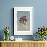 Still Life - Windflower